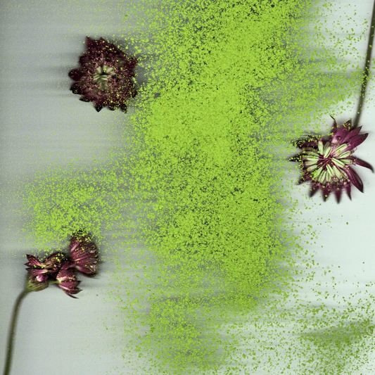 Luxury Matcha Powders