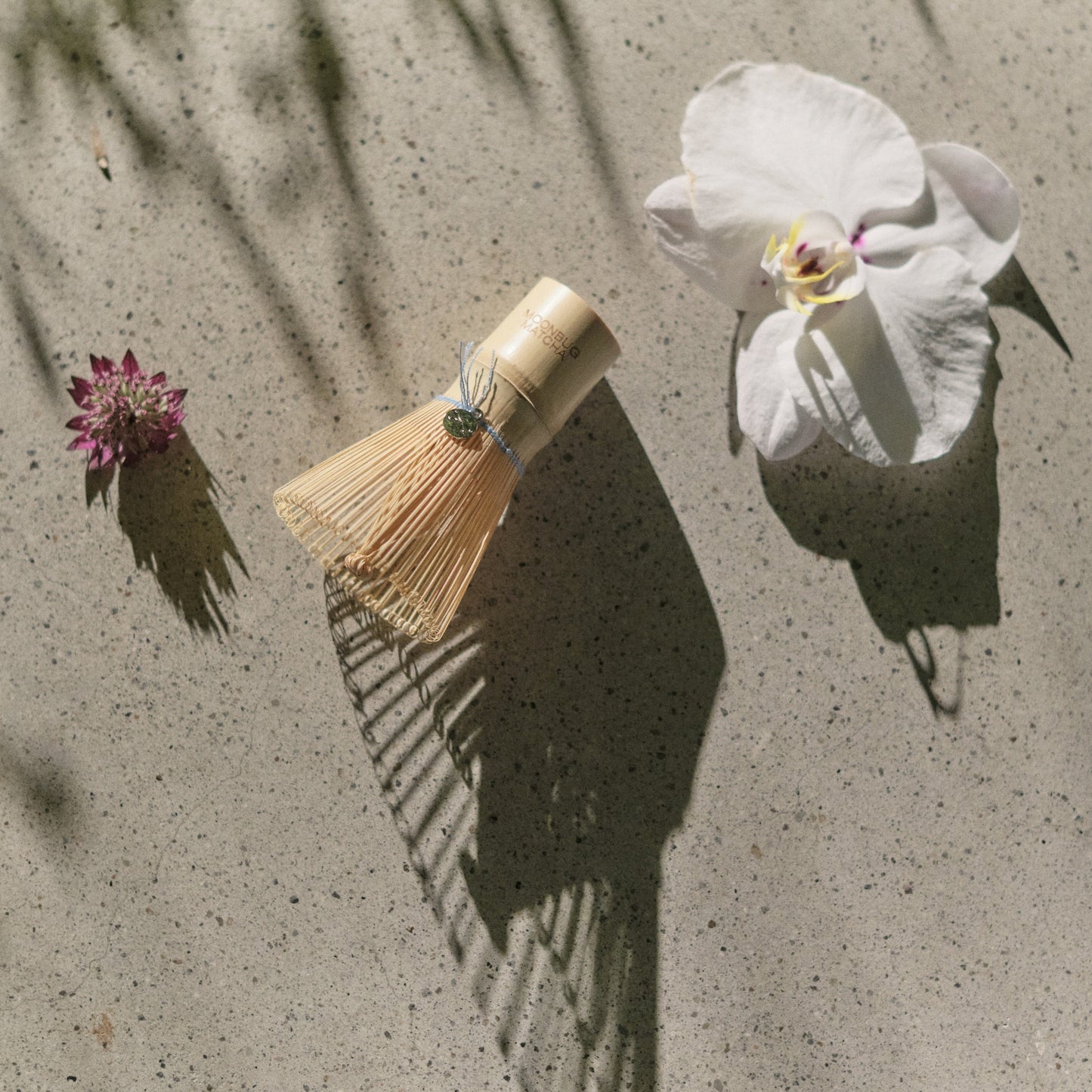 Chasen (with Moonbug Charm)