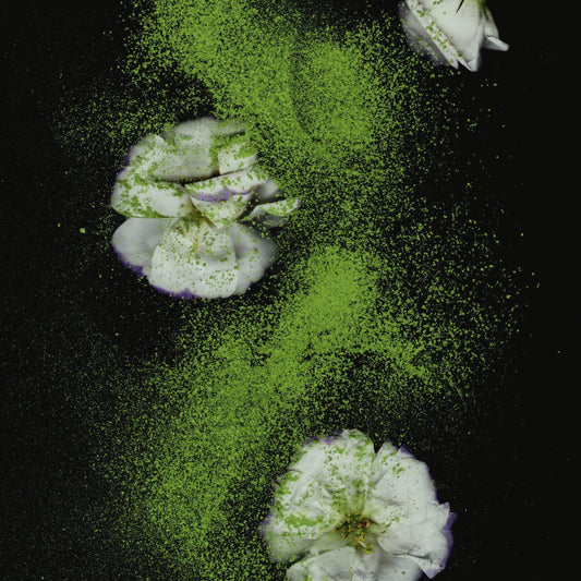 Kagoshima Blend Matcha Refill