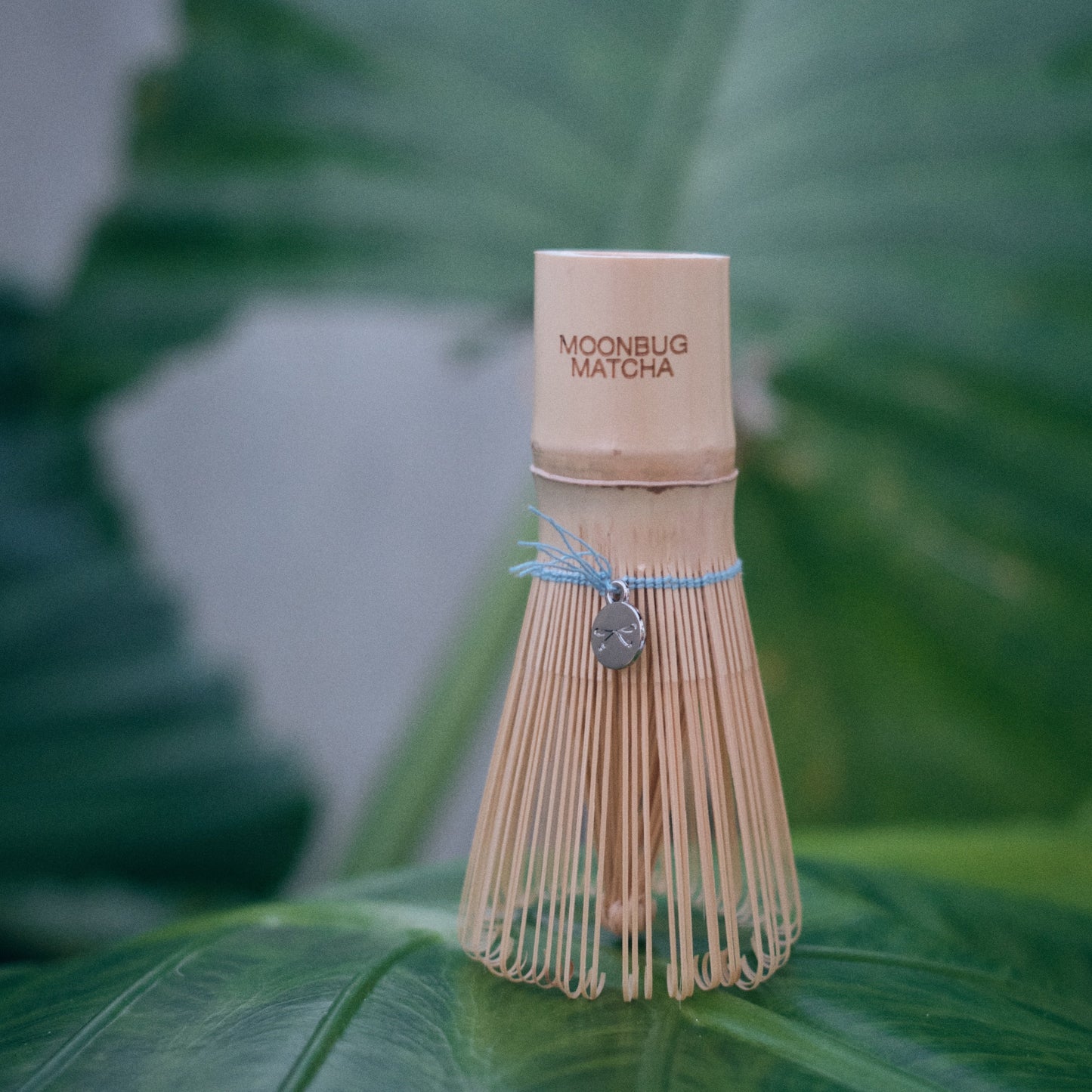 Chasen (with Moonbug Charm)