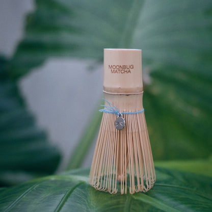 Chasen (with Moonbug Charm)