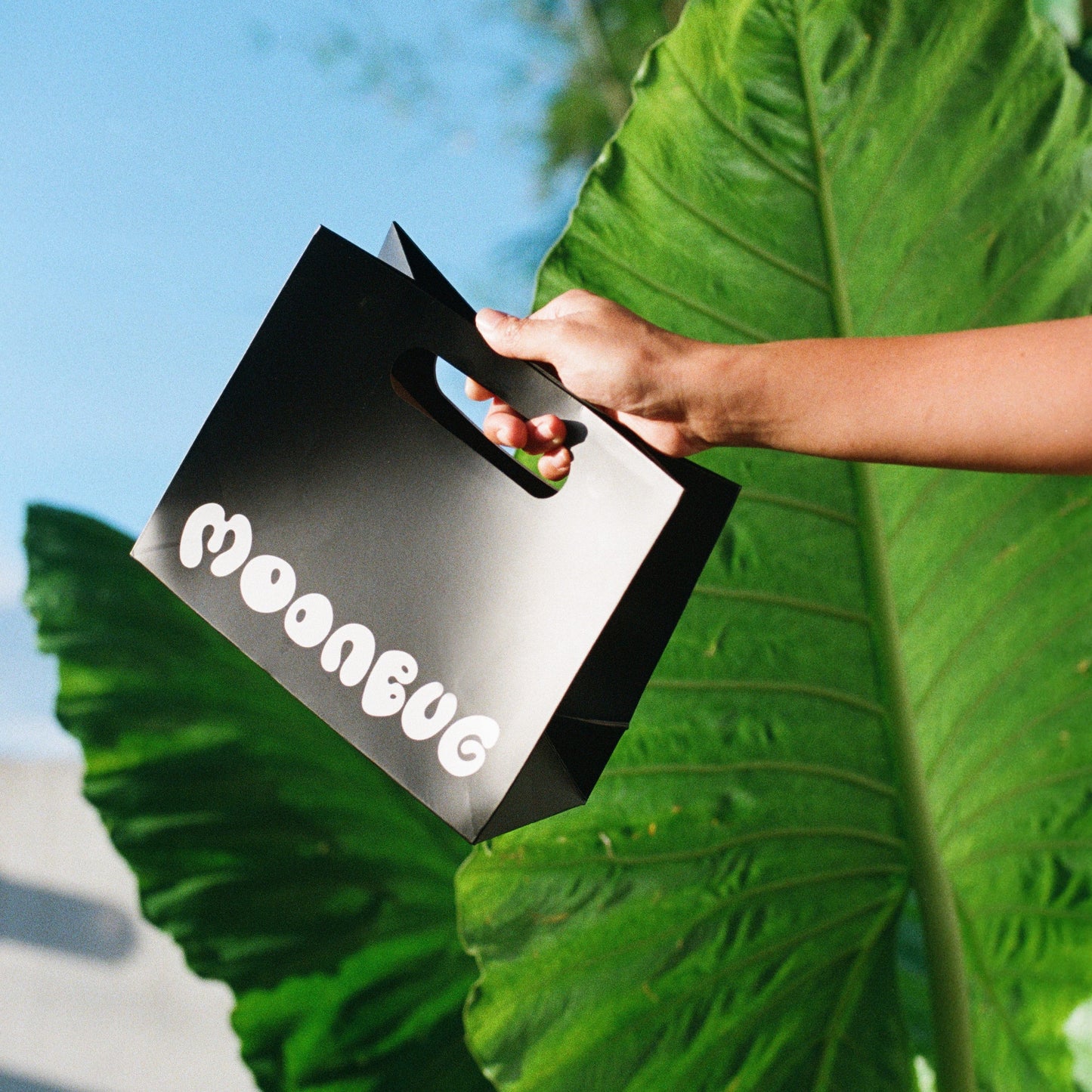 Gift Bag