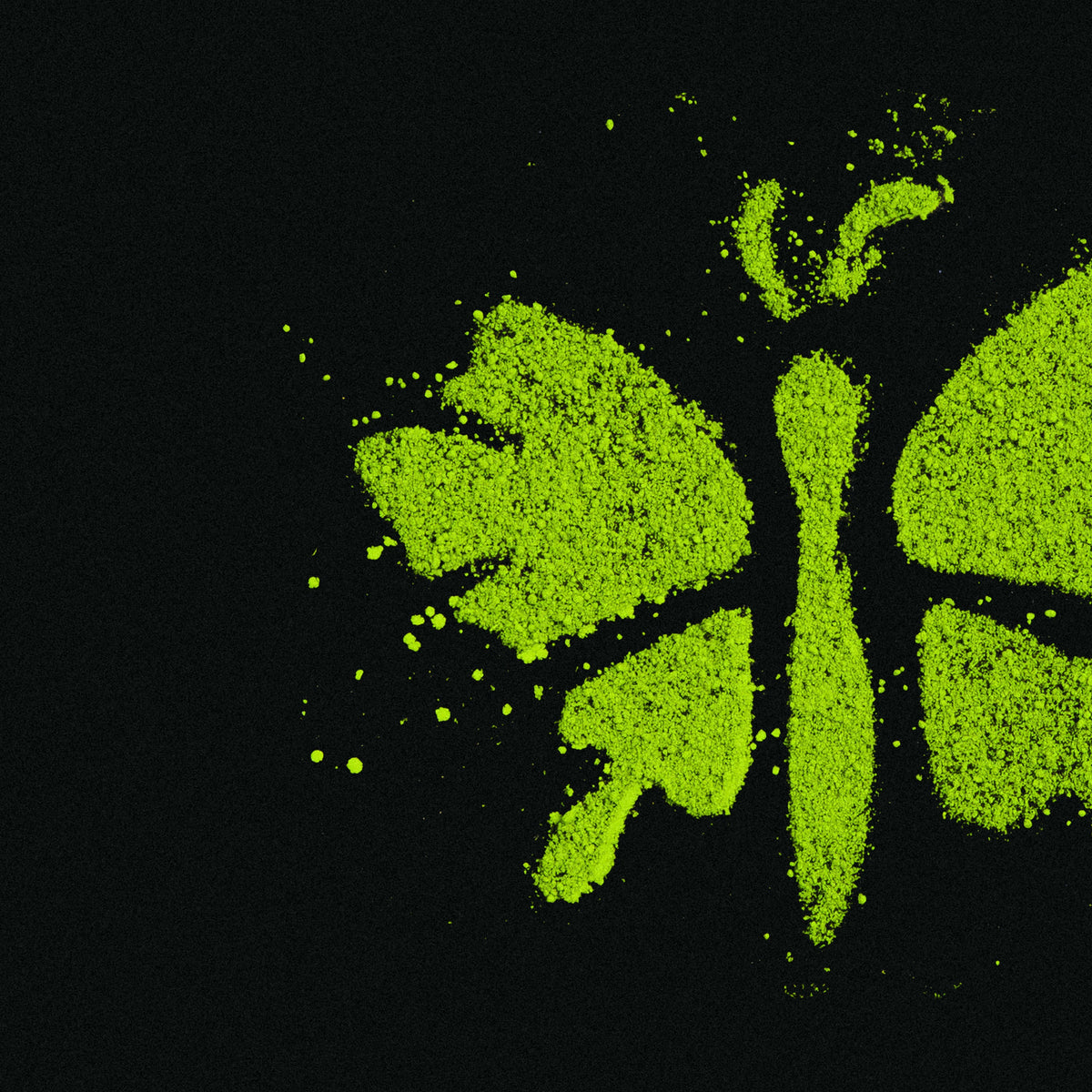 Daily Matcha Powder Refills