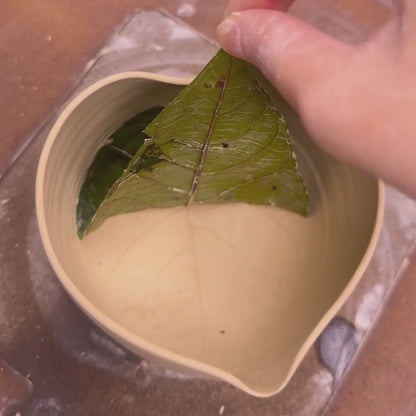Bubble Leaf Bowl